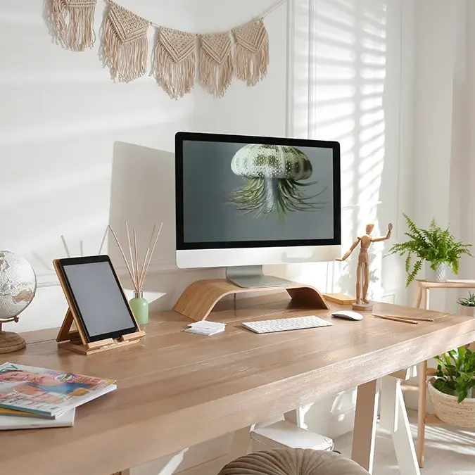 Freseniusmedcarenldial